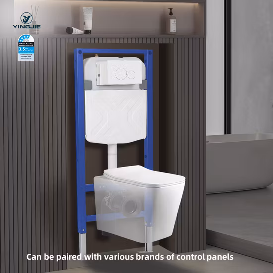Concealed Cistern with Flush Fittings