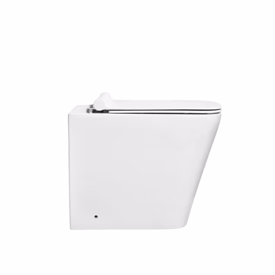 경제적인 호텔 욕실 위생 도자기 비데 세척용 옷장 화장실